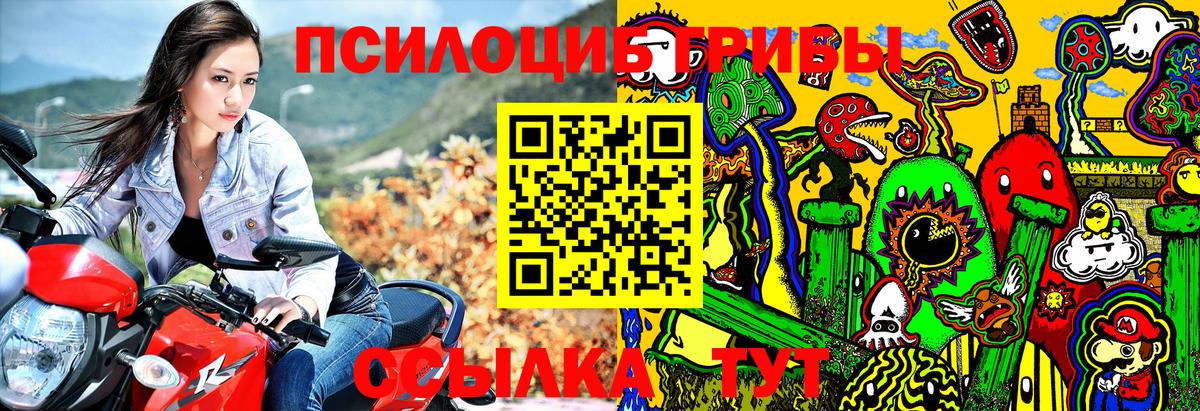 Псилоцибиновые грибы прущие грибы Корсаков
