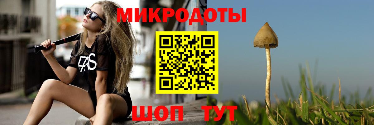 Псилоцибиновые грибы мухоморы  Вход с VPN  Корсаков  Псилоцибиновые грибы мицелий 